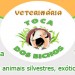 CLINICA VETERINÁRIA TOCA DOS BICHOS