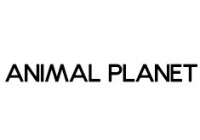 ANIMAL PLANET