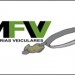 M.F.V.V. VISTORIAS VEICULARES