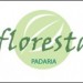 PADARIA E CONFEITARIA FLORESTA