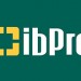 IBPRE CONSTRUÇÕES PRÉ-FABRICADAS