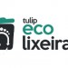 TULIP ECOLIXEIRAS