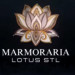 Marmoraria lotus