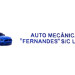 AUTO MECÂNICA FERNANDES